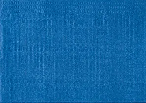 Euronda_Monoart_TowelUp_Blu.webp