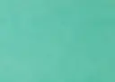tray_paper_05.webp