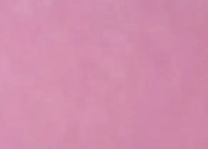 tray_paper_07.webp