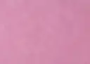 tray_paper_07.webp