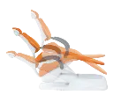资源+9.webp