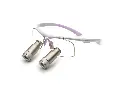techne_wisteria_prismatic.1024x0.webp