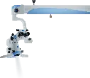 5.webp
